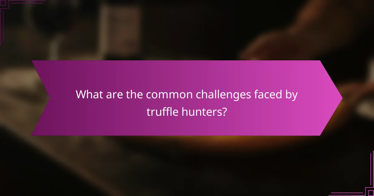 What are the common challenges faced by truffle hunters?