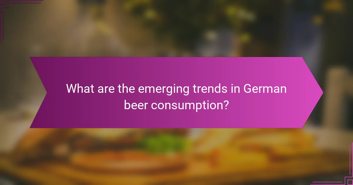 What are the emerging trends in German beer consumption?