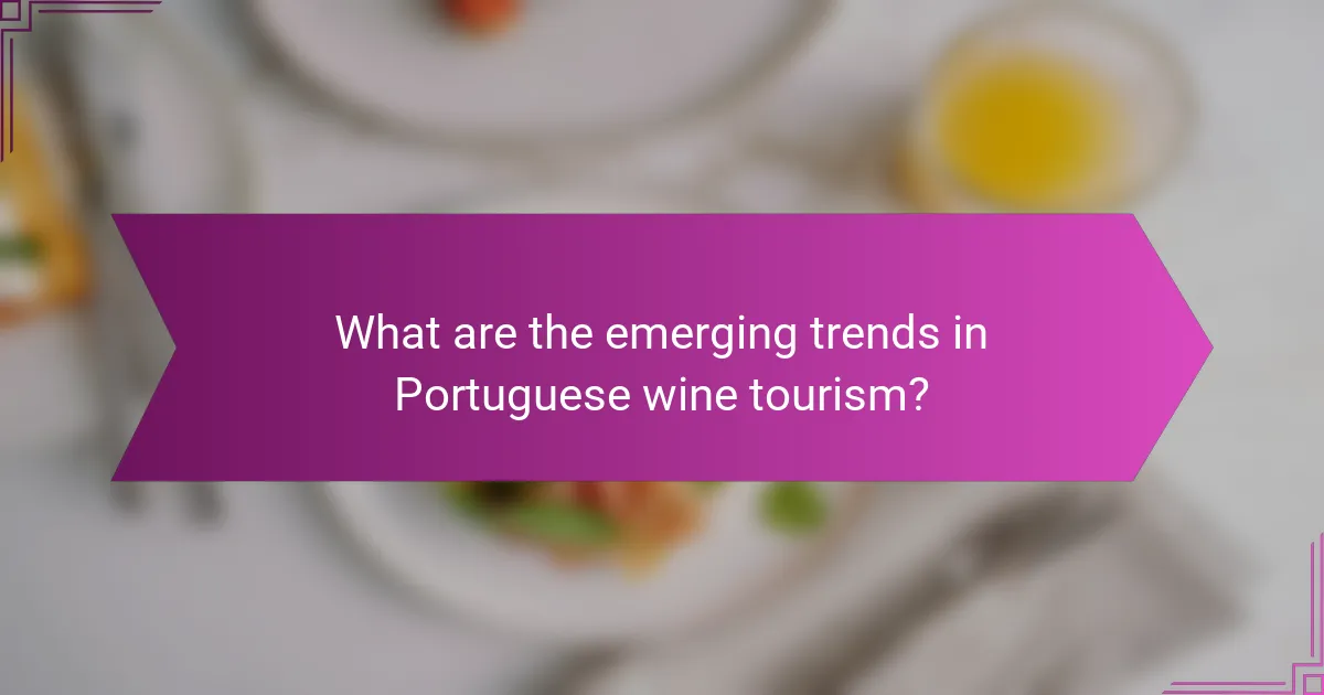 What are the emerging trends in Portuguese wine tourism?