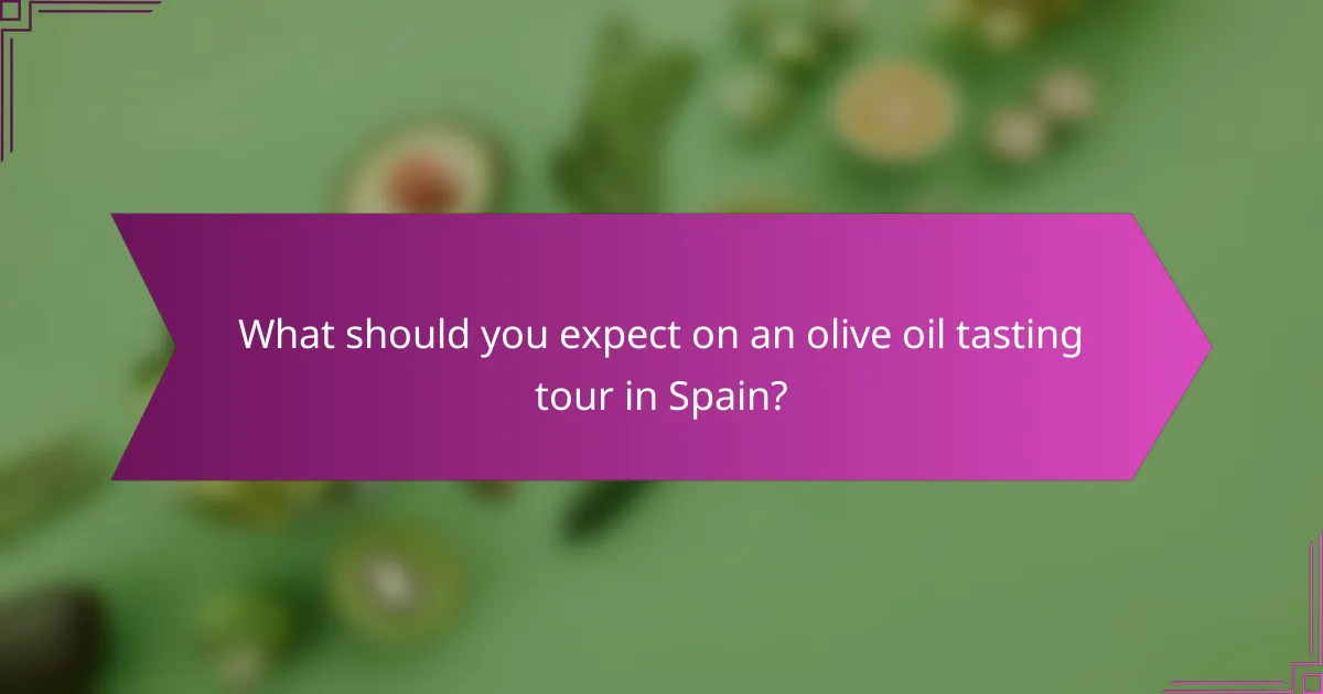 What should you expect on an olive oil tasting tour in Spain?