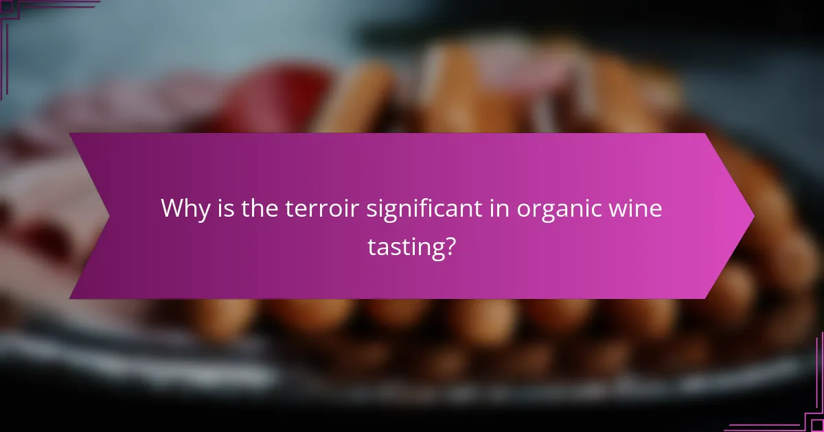 Why is the terroir significant in organic wine tasting?
